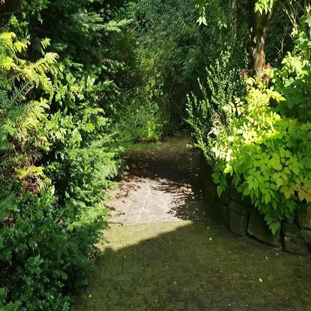 Charmantes Refugium, Harz, Cleaning Included *