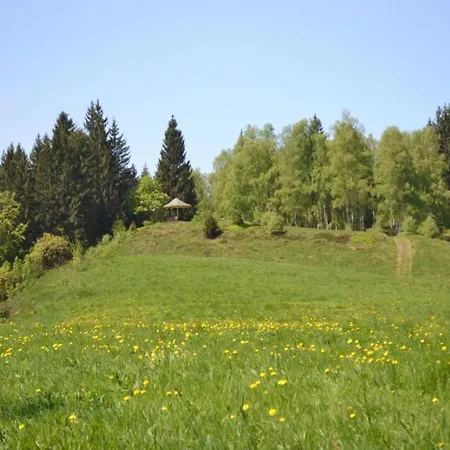 Charmantes Refugium, Harz, Cleaning Included Appartamento