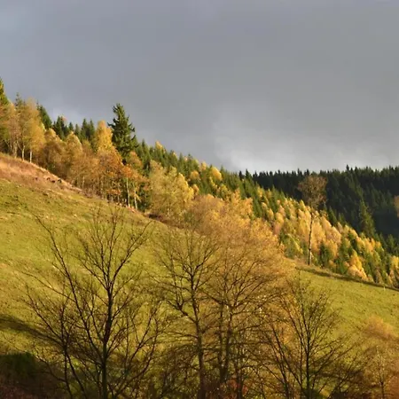 Charmantes Refugium, Harz, Cleaning Included Appartamento